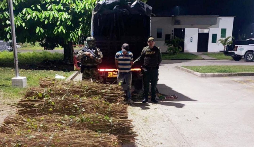 Más de 500 kilos de semillas de coca fueron incautados en Orito.