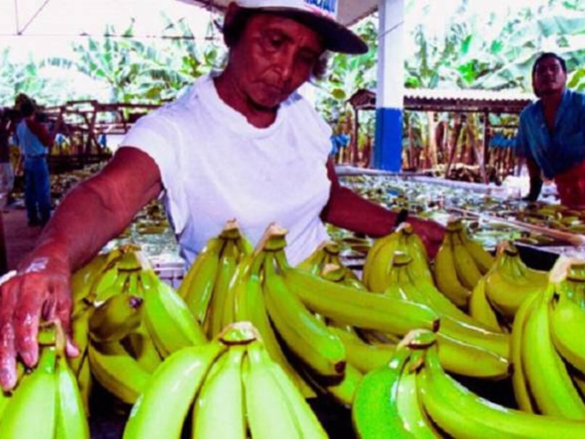 Vamos a mercar: cierre de vía alzó los precios