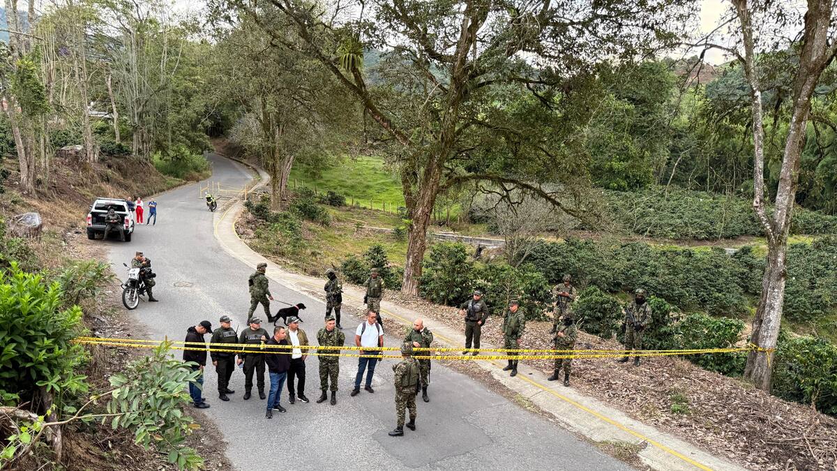 Informe sobre medidas en zona cordillerana del Quindío