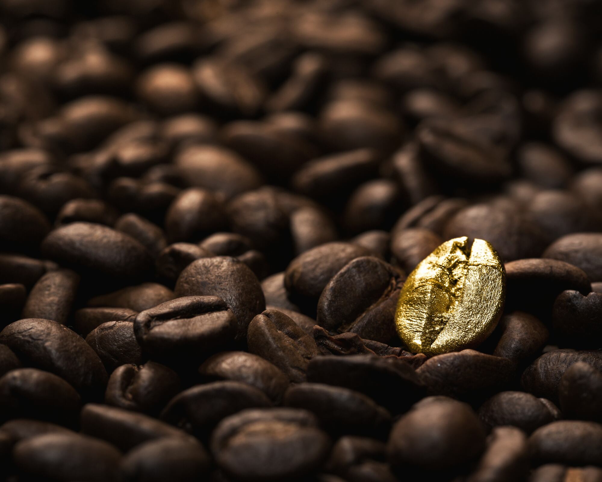 “Los nuevos aranceles estadounidenses podrían significar $1.500 millones de dólares adicionales para Colombia en los próximos tres años”,  Andrés Rodriguez, el director ejecutivo de exportaciones para Estados Unidos de ProColombia en Washington DC.
(Foto:  Getty)