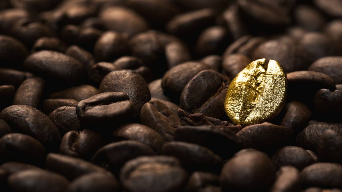 ¿Se avecina “La Era Dorada” del café colombiano en EE.UU. bajo la administración Trump?