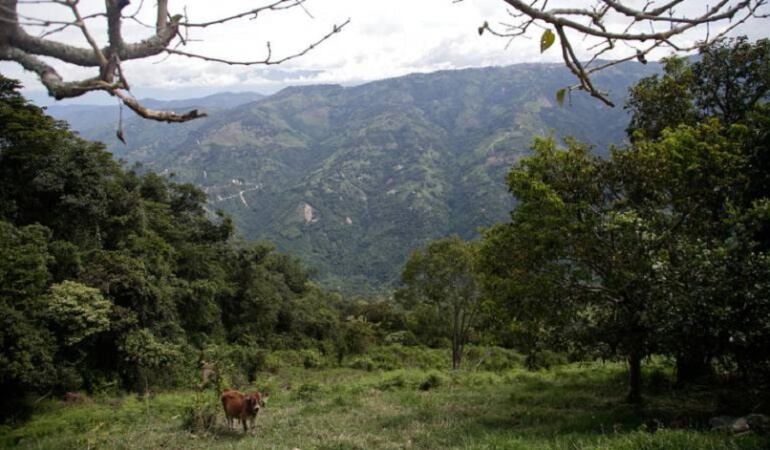 La Corte Constitucional aprobó el grueso de ley 902 de 2017 que fija pautas para el acceso y formalización de tierra, eje del acuerdo de paz.