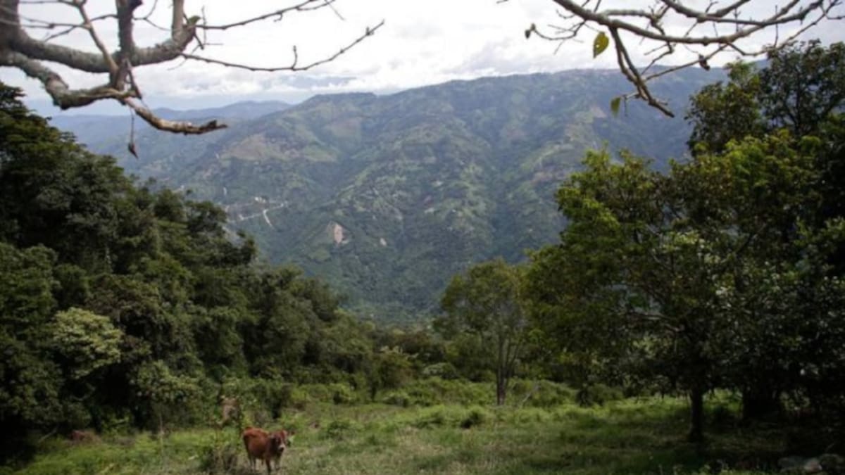 Asociaciones campesinas se preparan para la reforma rural