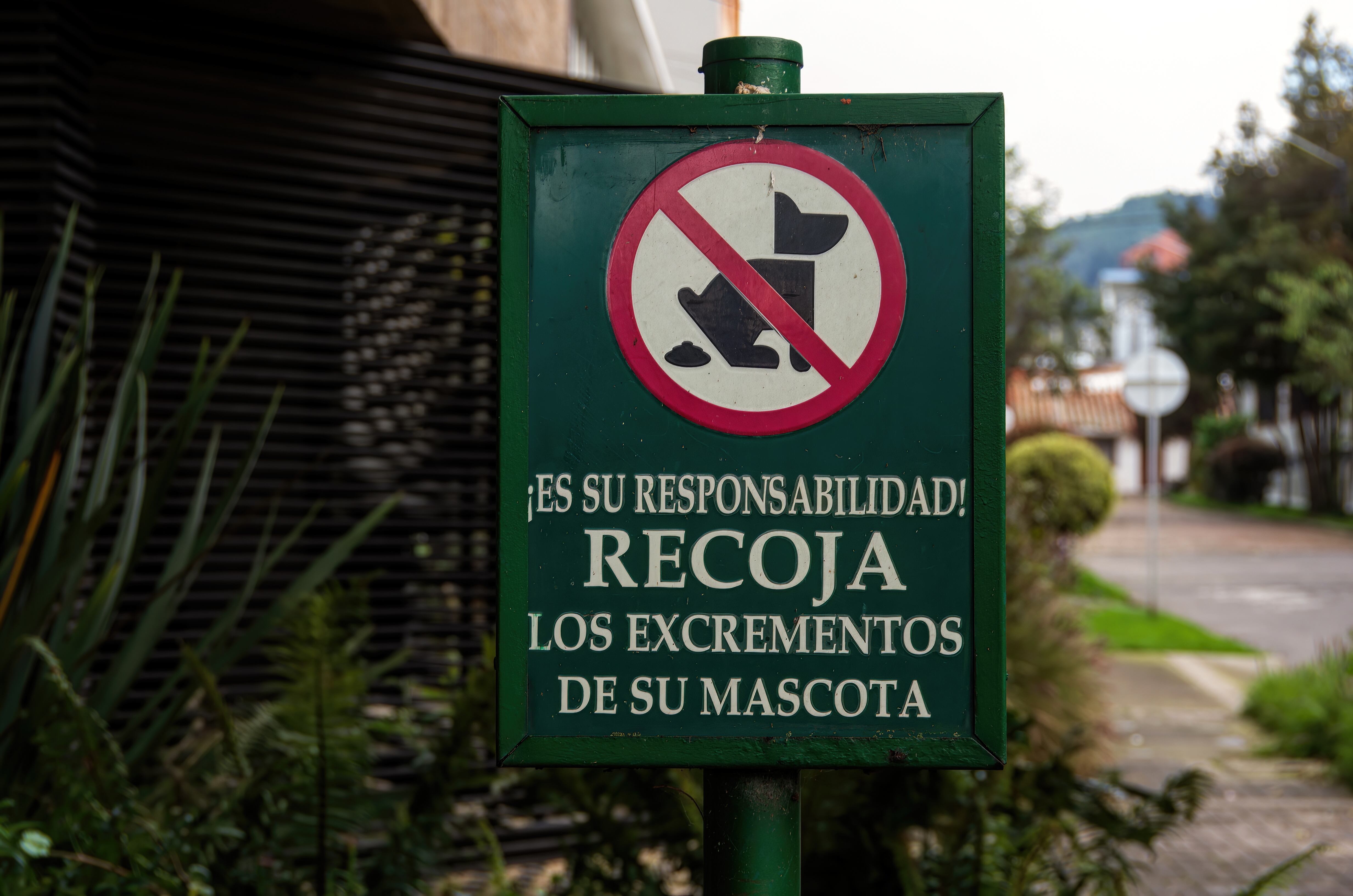 Advertencia para que dueños de mascotas recojan el excremento de sus animales. Foto: Getty Images.
