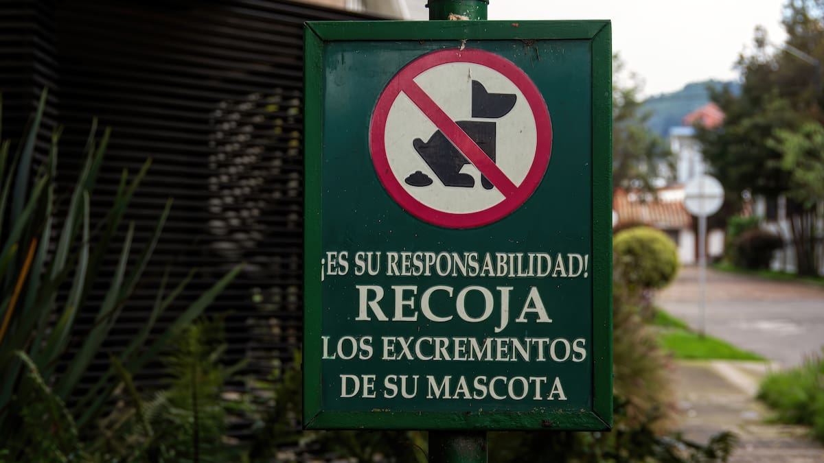 ¡Ojo! Si no recoge los excrementos de su mascota deberá pagar costosa multa: ¿de cuánto es en 2026?