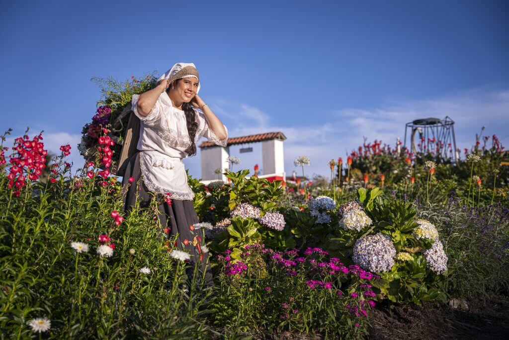 Fincas silleteras en el corregimiento Santa Elena de Medellín durante la Feria de las Flores. Foto: cortesía.