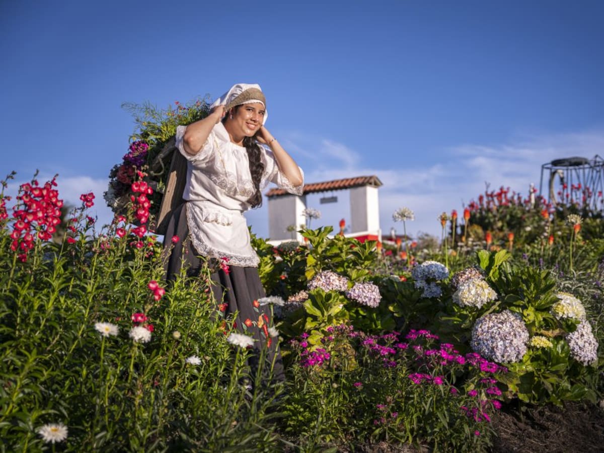 Feria de las Flores: Tours y fincas silleteras que puede conocer en bicicleta
