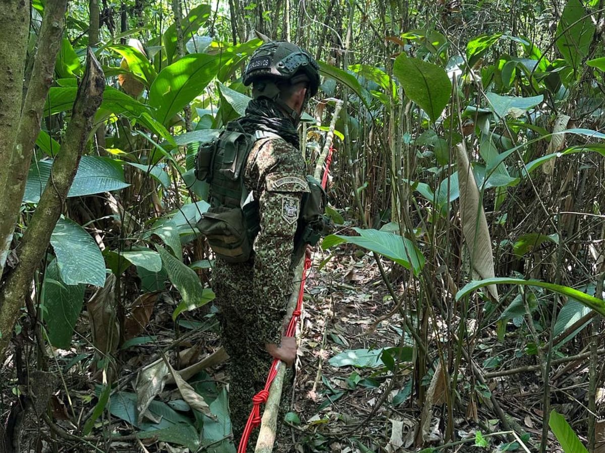 Alerta por aumento de minas antipersonal en Norte de Santander
