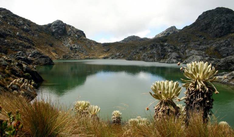Páramo de Santurbán