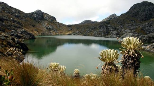 Páramo de Santurbán