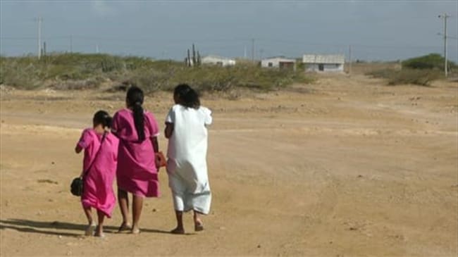 Denuncia ausencia de transporte para niños en La Guajira. Foto: Claudio Epieyu