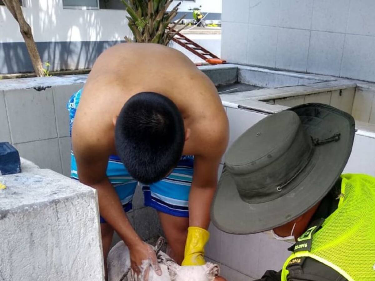 Rescatan perrita maltratada en Honda, Tolima