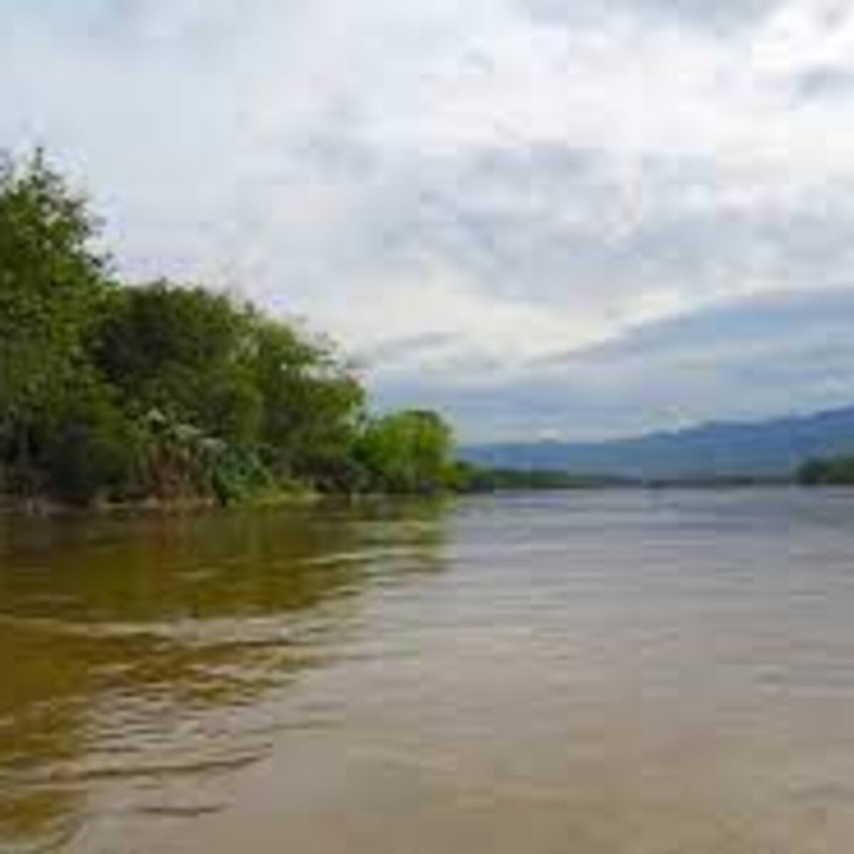 Así está el panorama en el Tolima por cuenta de las lluvias torrenciales