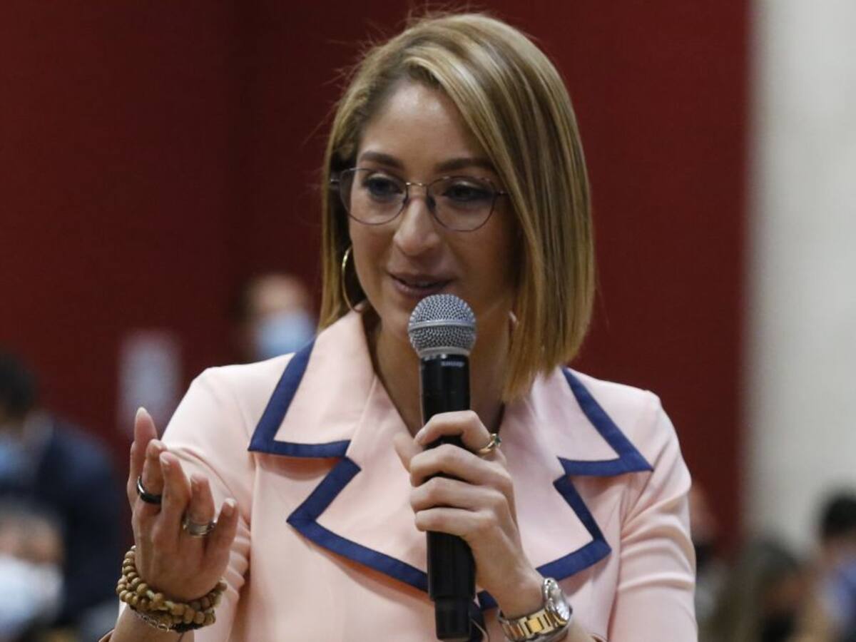 Corte asumió indagación sobre plagio de presidenta de la Cámara