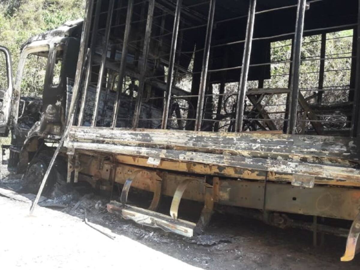 Paro armado del ELN: preocupa en el Cauca