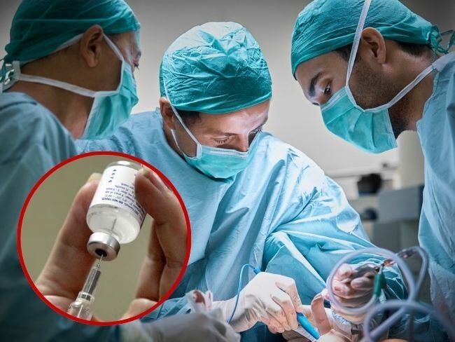 Corte recuerda obligación de las EPS para retirar biopolímeros por malas prácticas estéticas