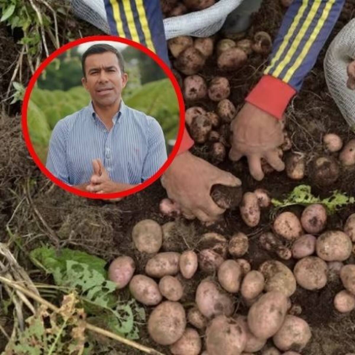 Alerta papera en Cundinamarca: contrabando desde Ecuador pone en riesgo a 10 mil familias
