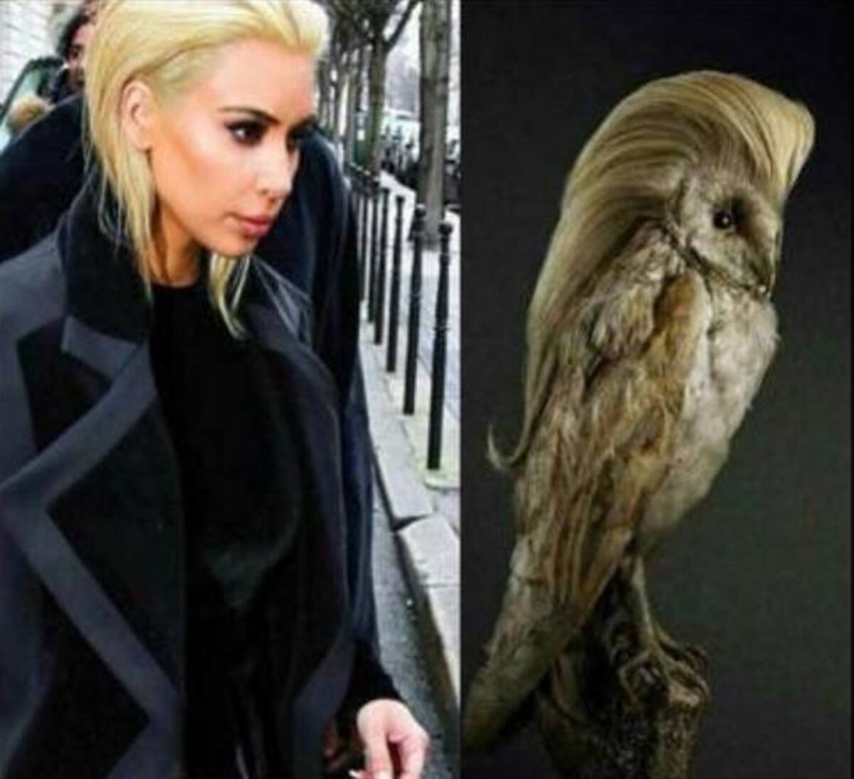 La "celebridad" cambió su cabello castaño a color rubio platinado y de inmediato empezaron a buscarle parecidos con personajes de películas y series.