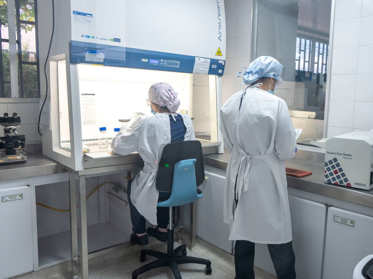 La UNAD y la Gobernación de Risaralda investigan si la toxoplasmosis influye en casos de suicidio