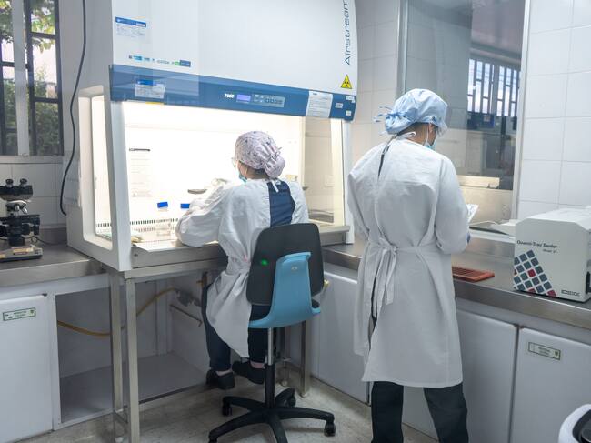 Investigación en Risaralda; relación entre toxoplasmosis y suicidios (foto: Gobernación de Risaralda)