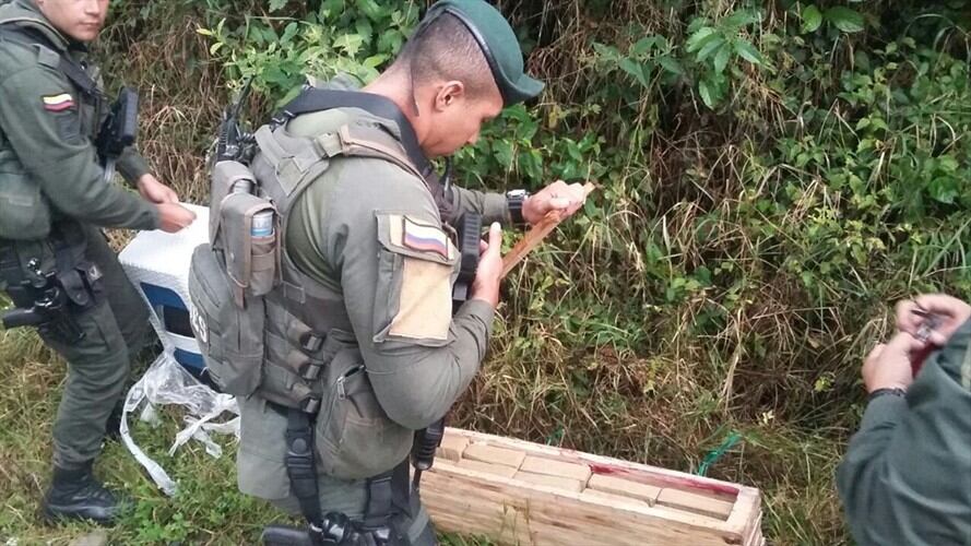 Uniformados del Grupo de Operaciones Especiales, Goes, incautaron cerca de 15 libras de marihuana en zona rural de esta capital. Foto: Policía