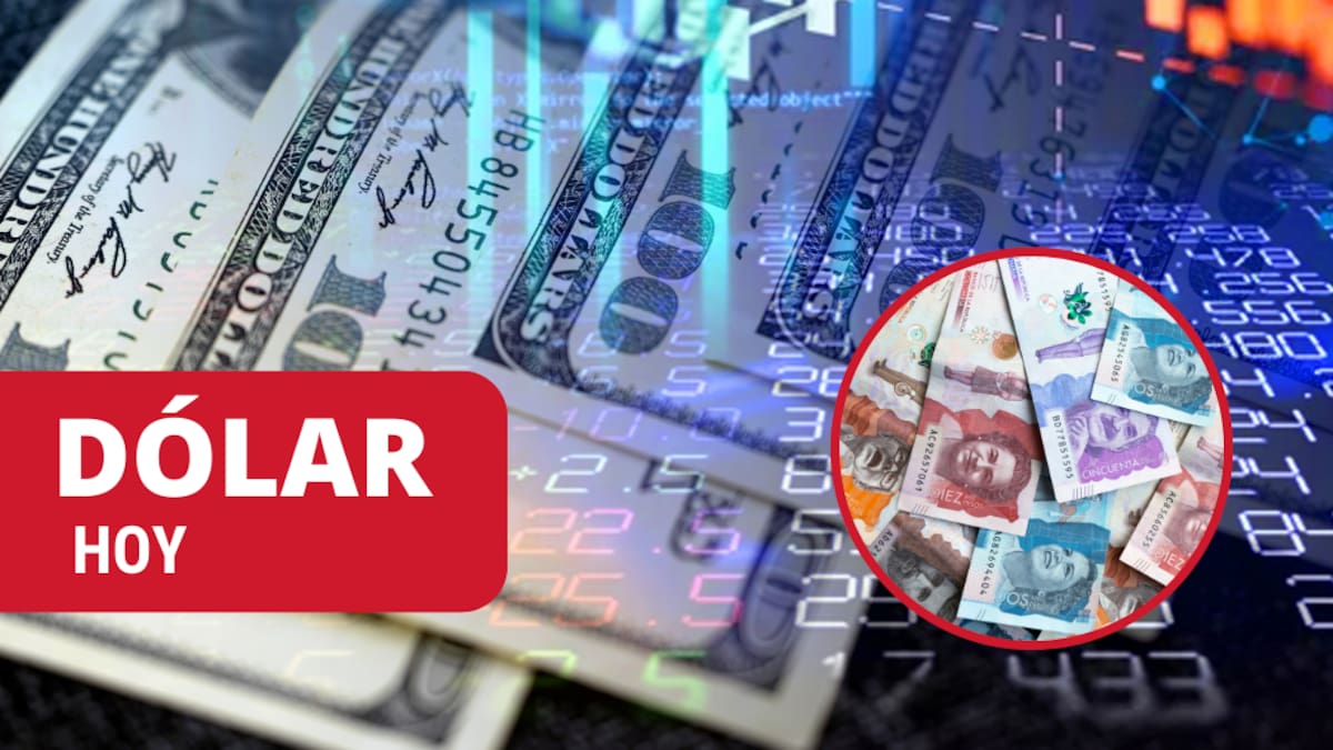 ¿Subió o bajó? Así inició el precio dólar en mayo: tasa de cambio en pesos colombianos
