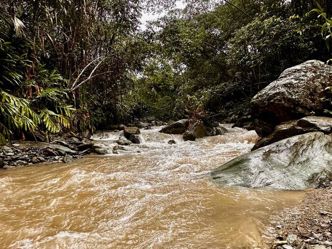 Quebrada Corazón - Ibagué