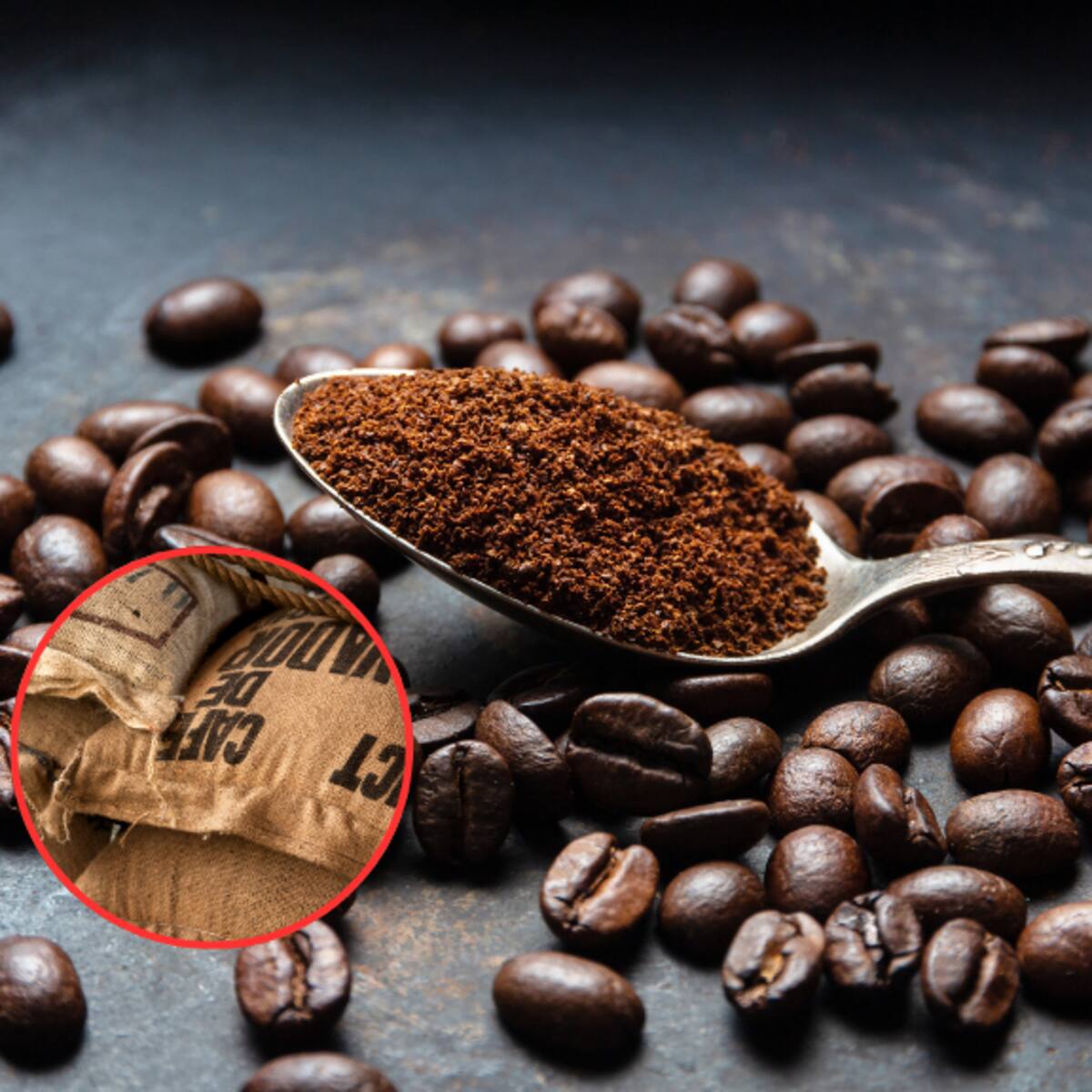 Precio café HOY en Colombia carga de 125 kg: valor oficial Federación Nacional de Cafeteros