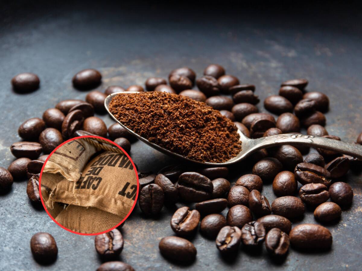 Precio café HOY en Colombia carga de 125 kg: valor oficial Federación Nacional de Cafeteros