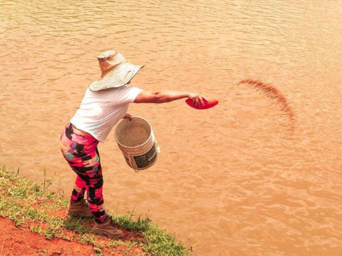 Aprueban proyectos productivos para excombatientes en Bolívar