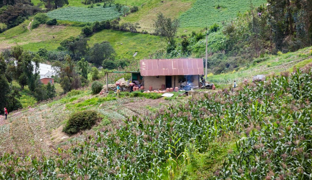 Cultivos de papa en Boyacá. Imagen de referencia