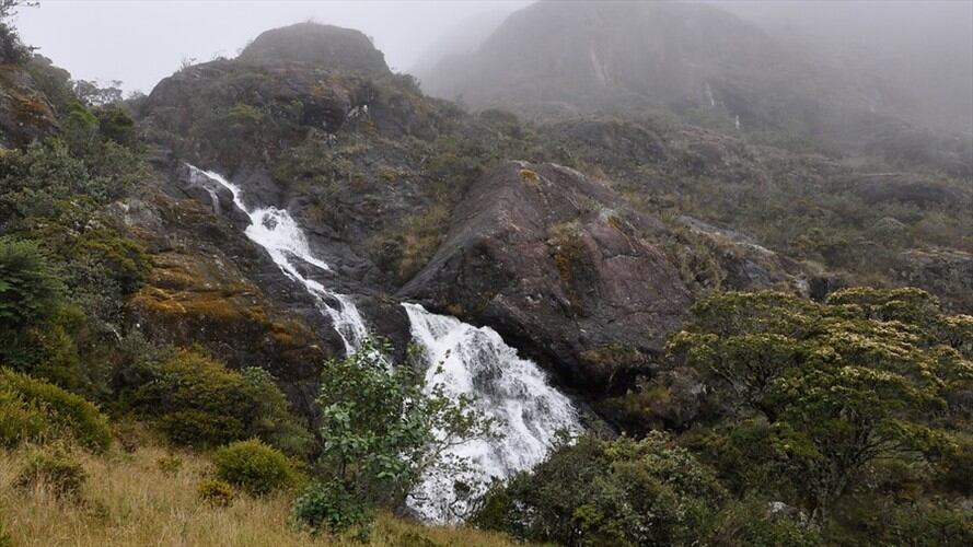 La Corte Constitucional tumbara la delimitación del páramo de Santurbán porque consideró que no se tuvo en cuenta a todas las comunidades. Foto: Colprensa