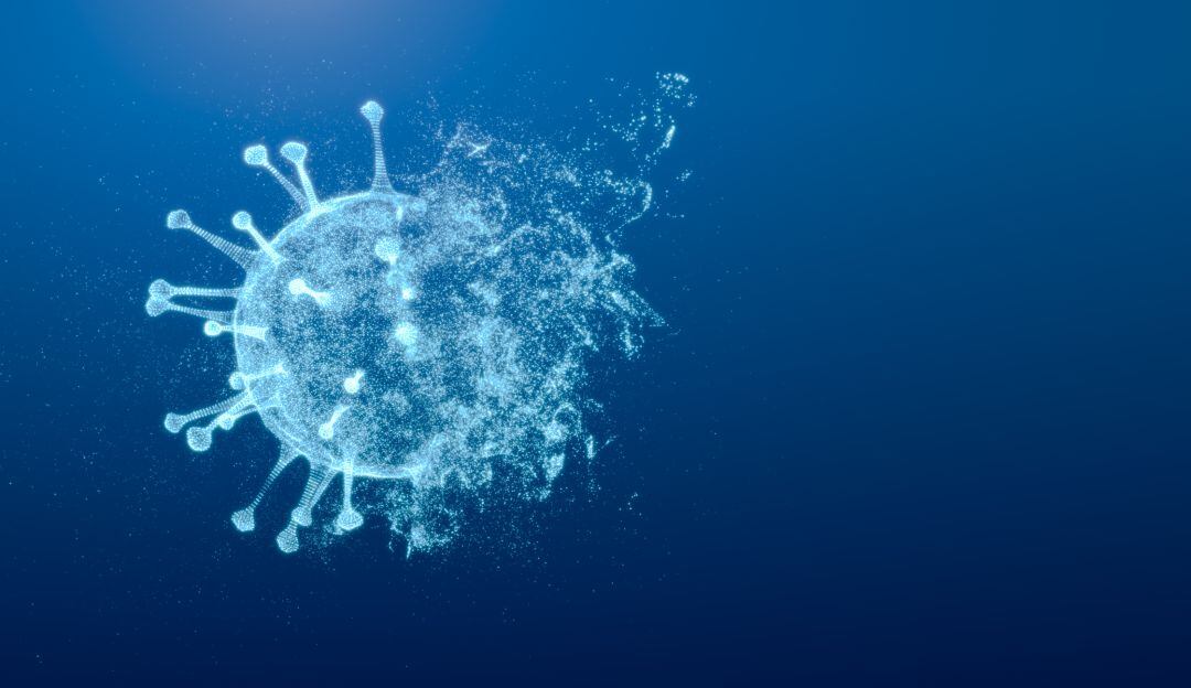 Respuesta inmunitaria del cuerpo al coronavirus tras recibir la vacuna y estar contagiado. 