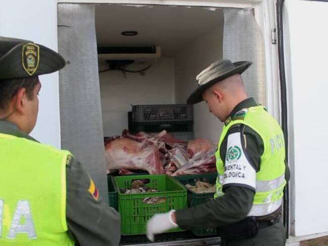 Incautan tres toneladas de carne procedentes de área afectada por aftosa