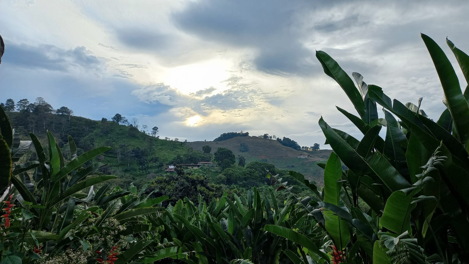 Hermosos paisajes del Quindío. Foto: Vanessa Porras