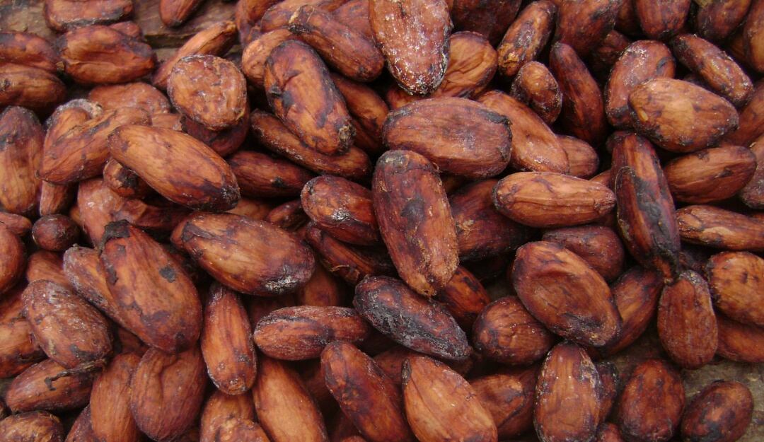 Cacao