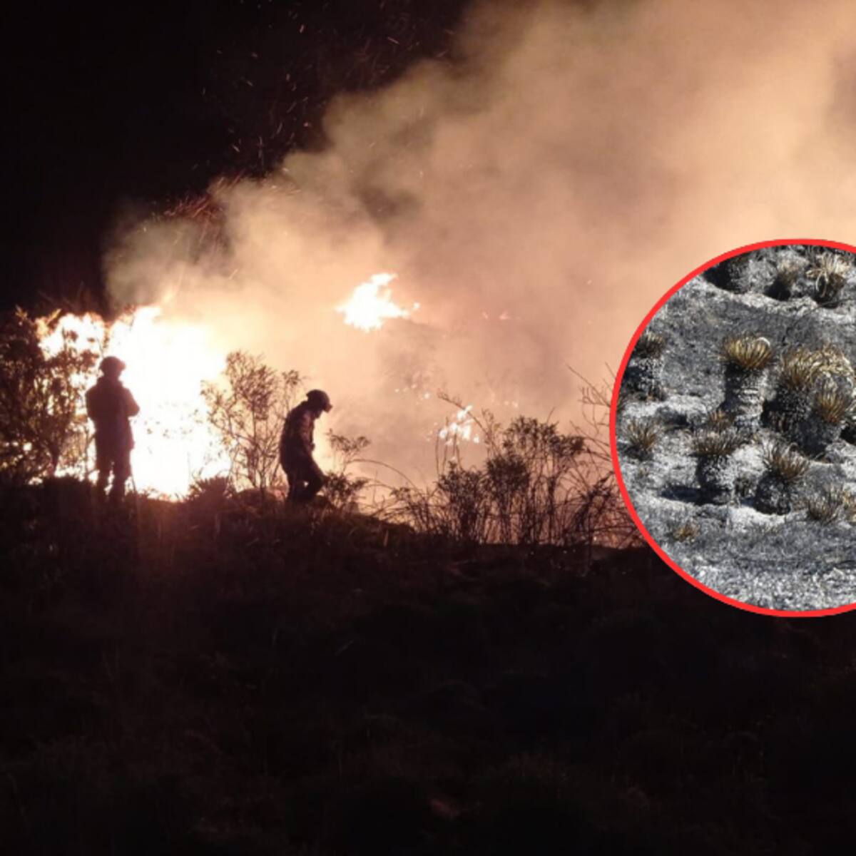 Imágenes del Incendio Chingaza: Así quedaron las 147 hectáreas afectadas por las llamas