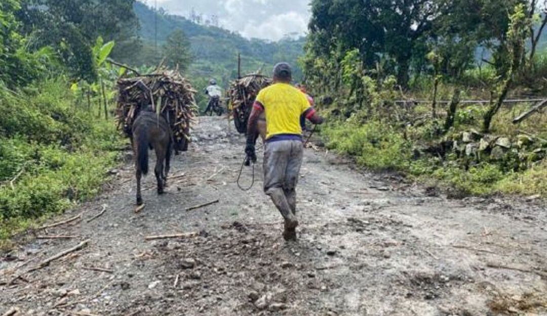 Daños en las vías de Nariño