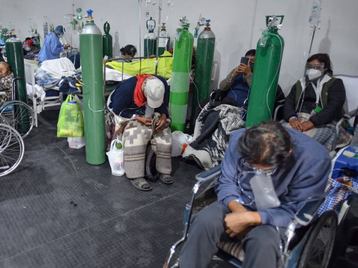 Cepa andina clasificada como “de interés” por expansión en A. Latina