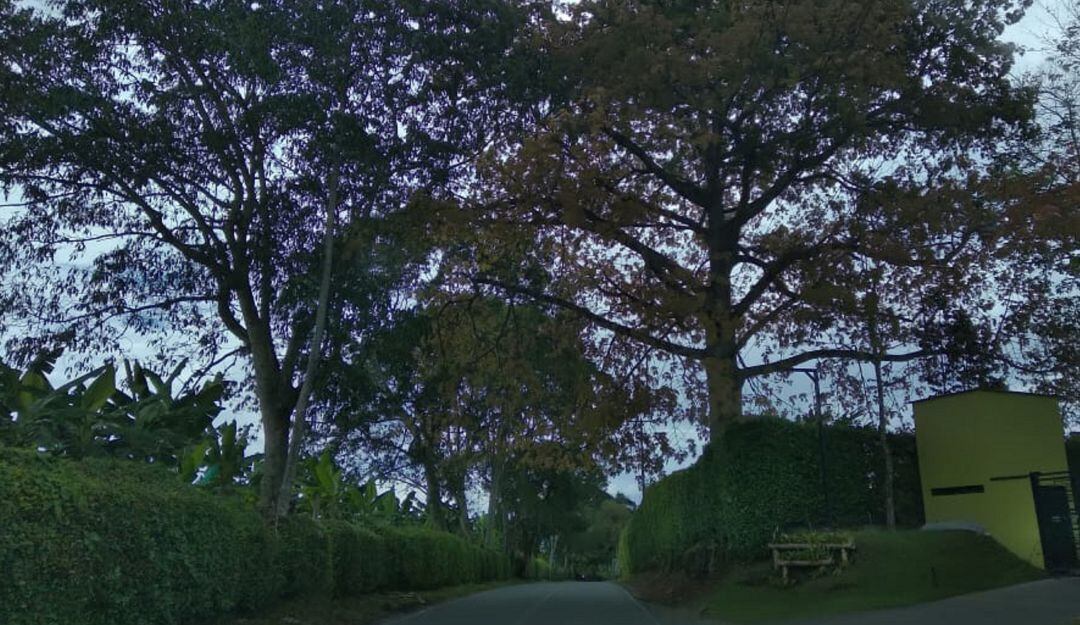 Vía Pueblo Tapao-Montenegro 