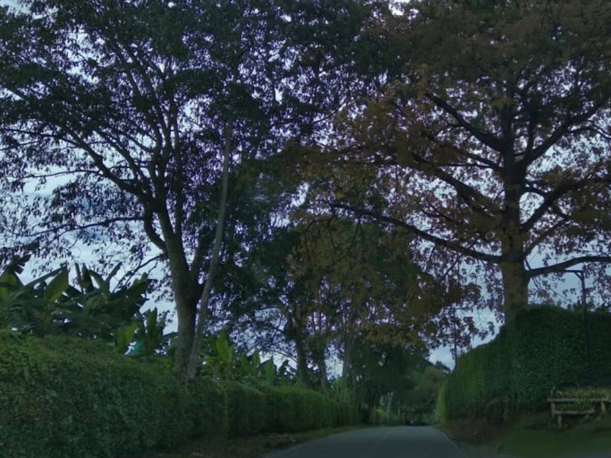 Lunes 11 de octubre, las principales noticias de Armenia y Quindío