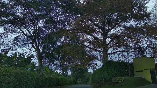 Vía Pueblo Tapao-Montenegro