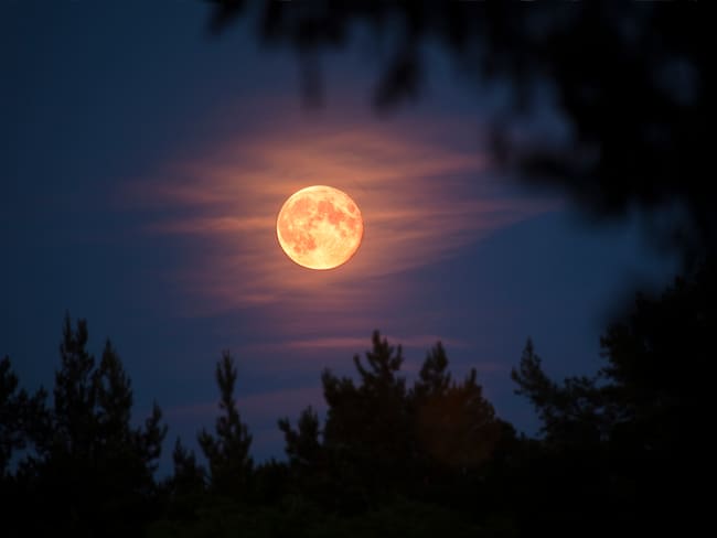 Luna llena - (Getty Images)