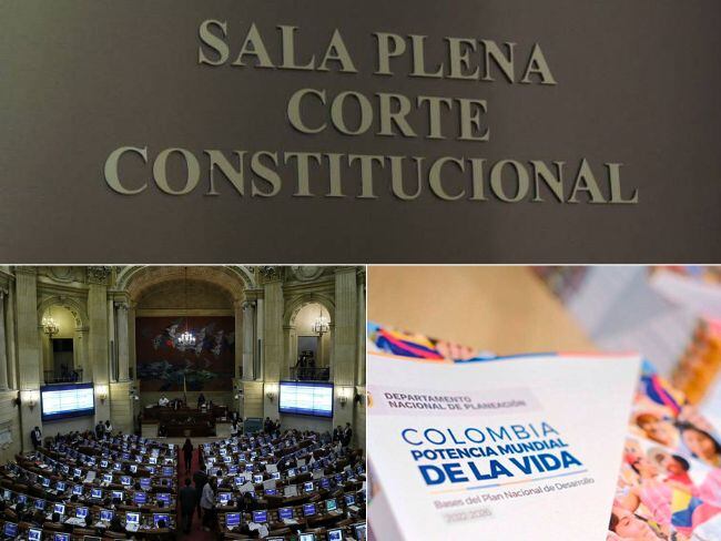 Corte Constitucional tumba un nuevo artículo del Plan Nacional de Desarrollo