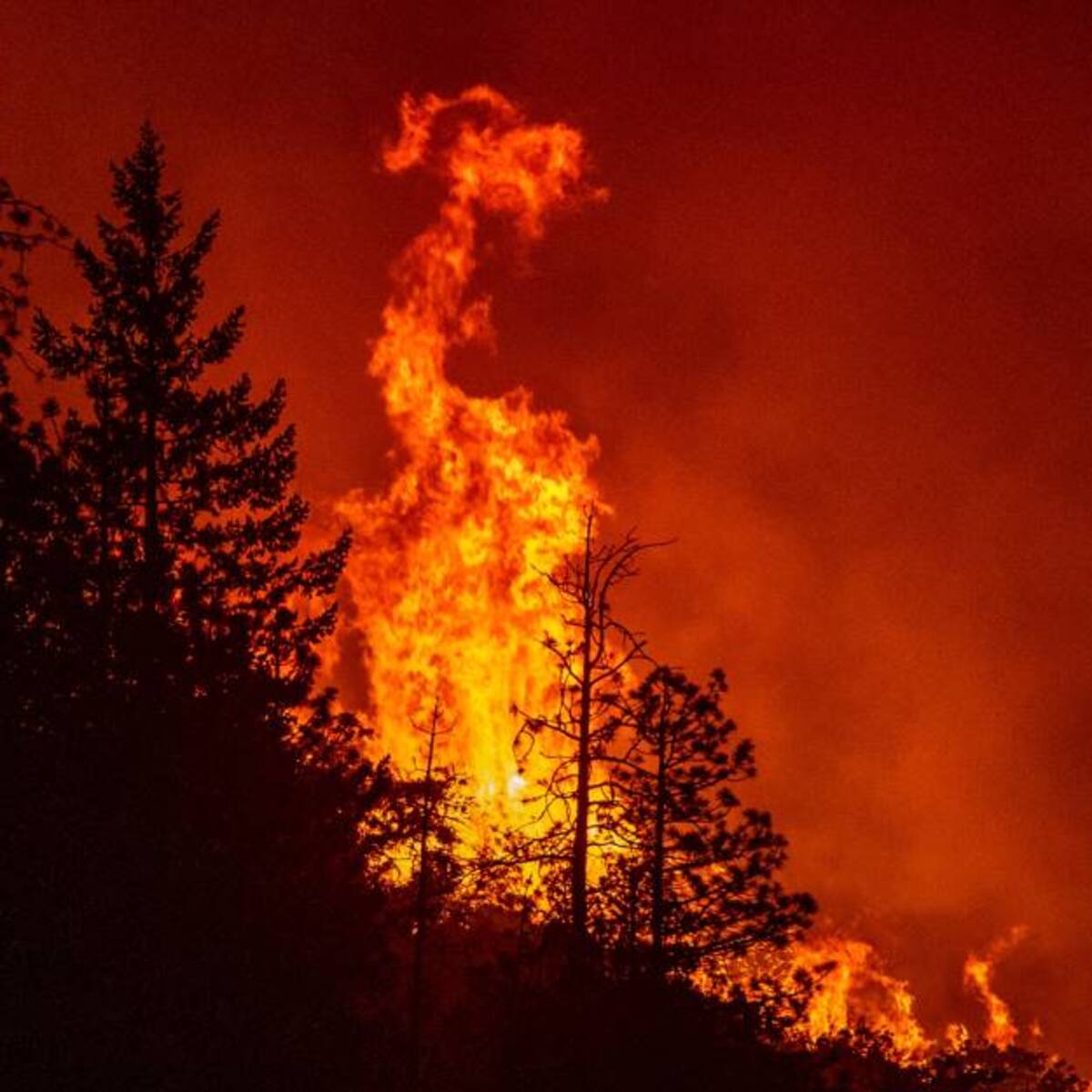 Incendios forestales, tornados e inundaciones repentinas afectan gran parte de EE.UU