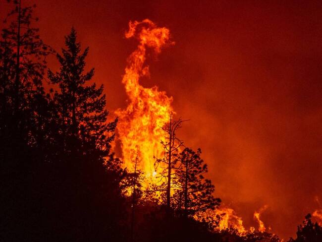 Incendios forestales, tornados e inundaciones repentinas afectan gran parte de EE.UU. Foto: Getty