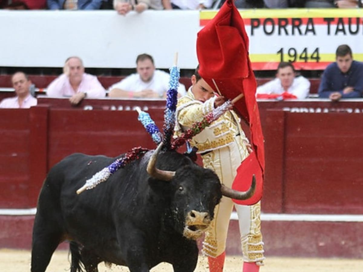 Prohibición de las corridas de toros avanza en el Congreso