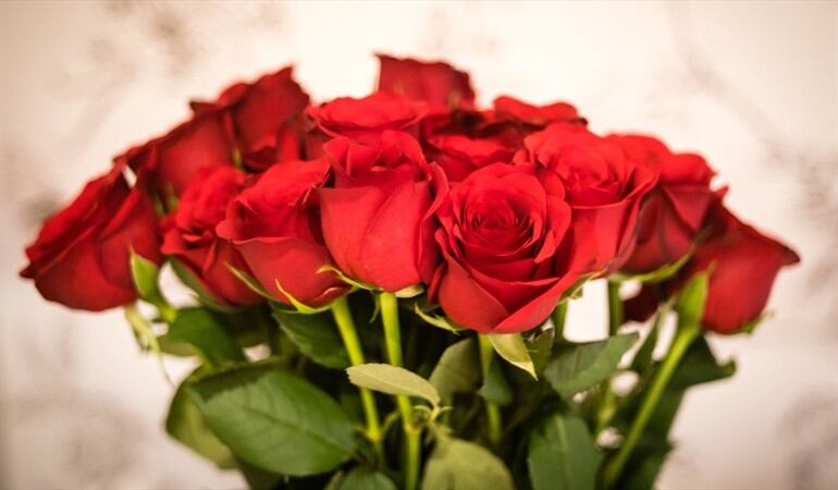 ¿Usted a quién le regalaría flores para ayudar a los más vulnerables?. Foto: Getty Images