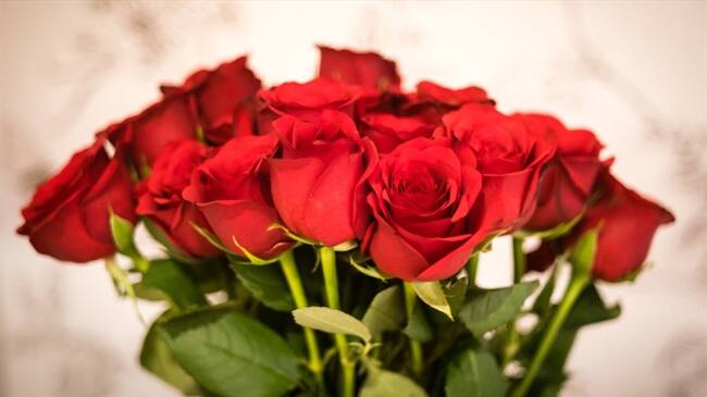 ¿Usted a quién le regalaría flores para ayudar a los más vulnerables?. Foto: Getty Images