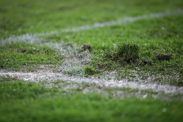 Estado de la cancha del estadio El Campín / Colprensa.